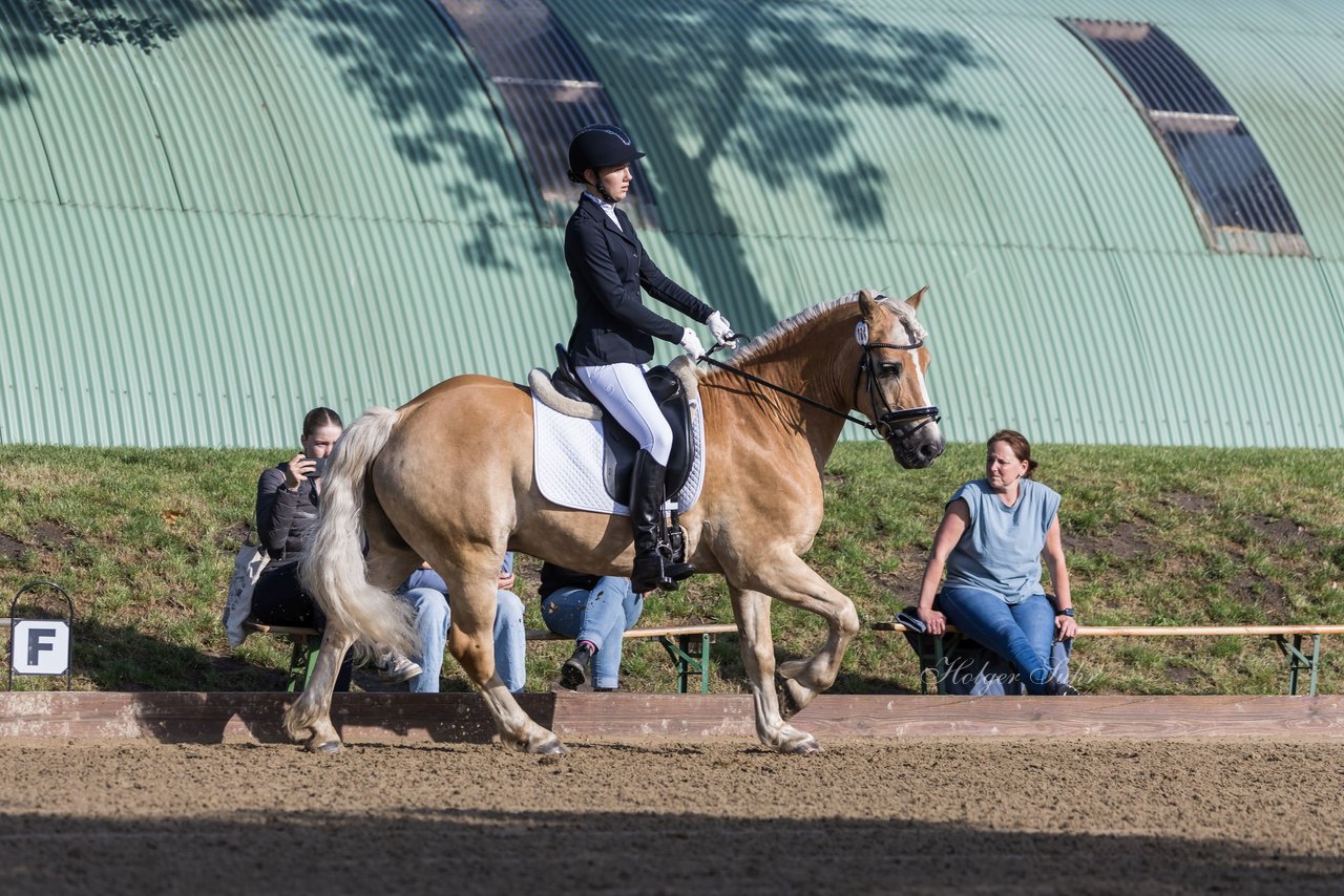 Bild 107 - Pony Akademie Turnier